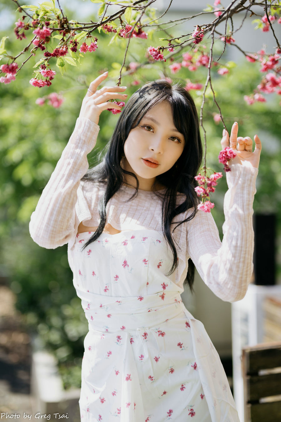 Ashley – 碎花连衣裙 / 85P-272MB / 美图集锦-绅士图