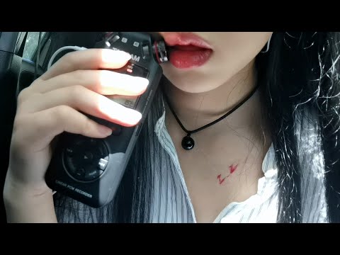 [ZZ]美女姐姐在车内录制的口腔音|吃耳朵-迷路的番茄 / 国内ASMR-艺库