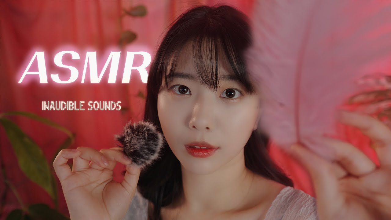 [Suna]刷子视觉触发与模糊的口腔音，带你享受视觉与听觉的双重刺激-ASMR Suna 꿀꿀선아 / 韩国ASMR-绅士图