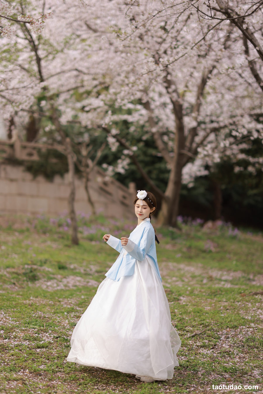 图片[3]-[YITUYU艺图语]2023.04.23 探一场樱花 酸奶加心好好次 [31+1P／425MB]-艺库