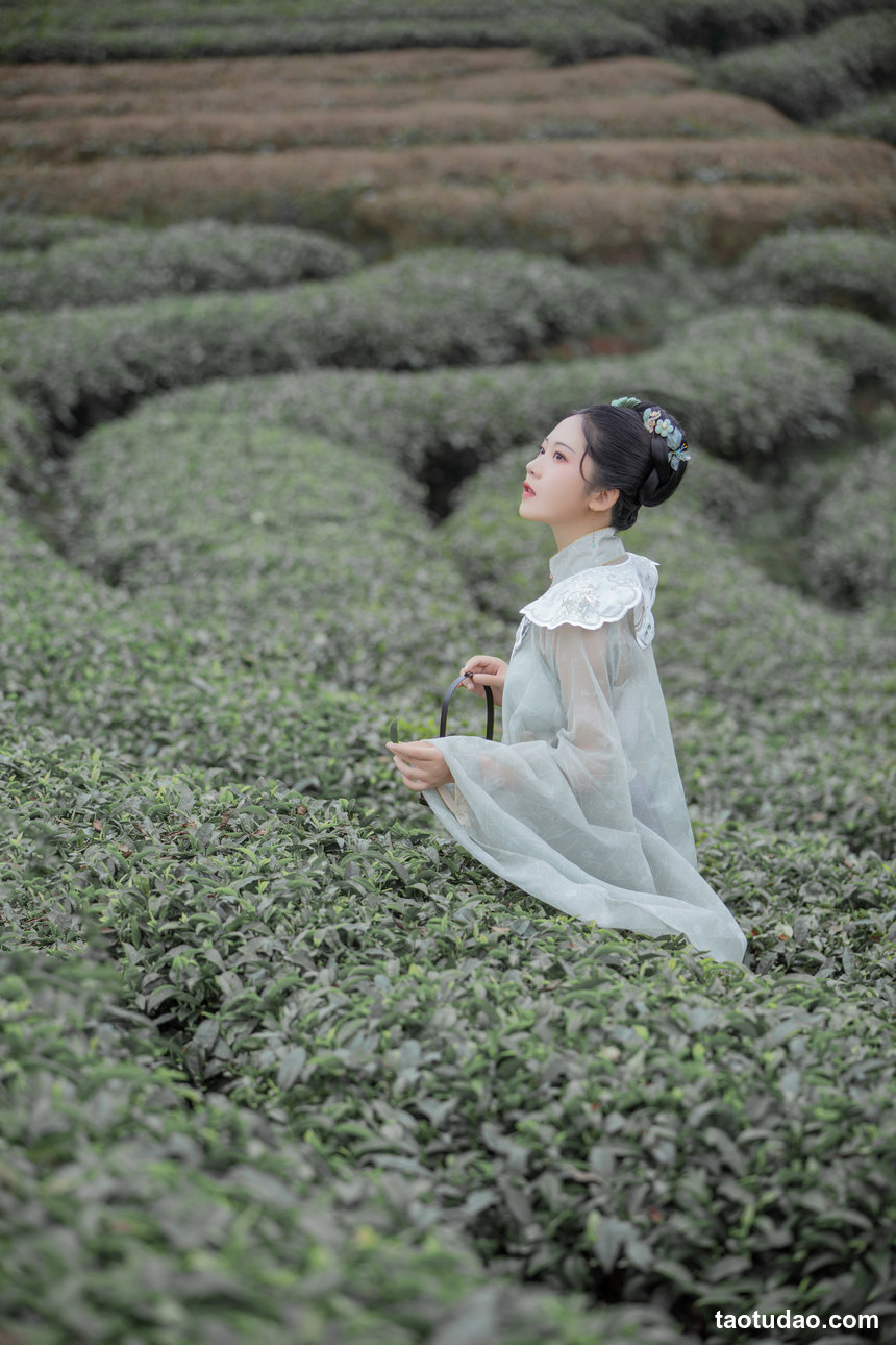 图片[4]-[YITUYU艺图语]2022.07.07 茶记 katycat[19+1P／266MB]-艺库