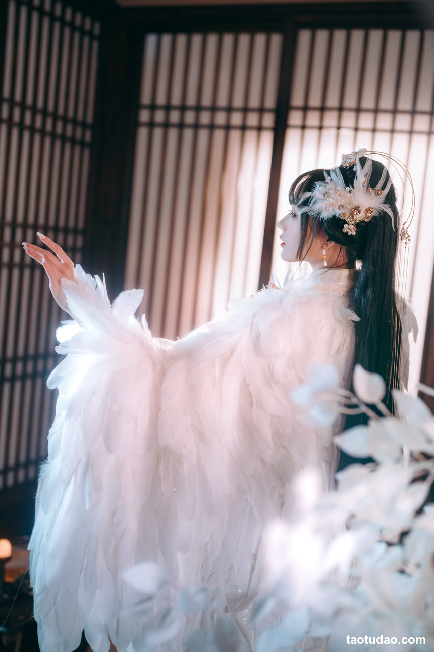 图片[2]-[YITUYU艺图语]2022.04.29 吉祥鸟 兔子Zzz不吃胡萝卜[21+1P／150MB]-艺库