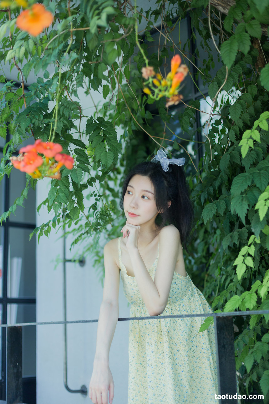 图片[4]-[YITUYU艺图语]2022.08.18 夏日凌霄 饲猫少女-[32+1P／311MB]-艺库