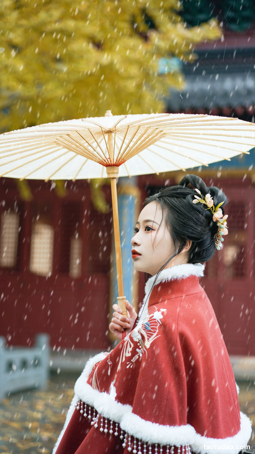 图片[3]-[YITUYU艺图语]2022.12.22 初雪 旺旺小小舒[22+1P／365MB]-艺库