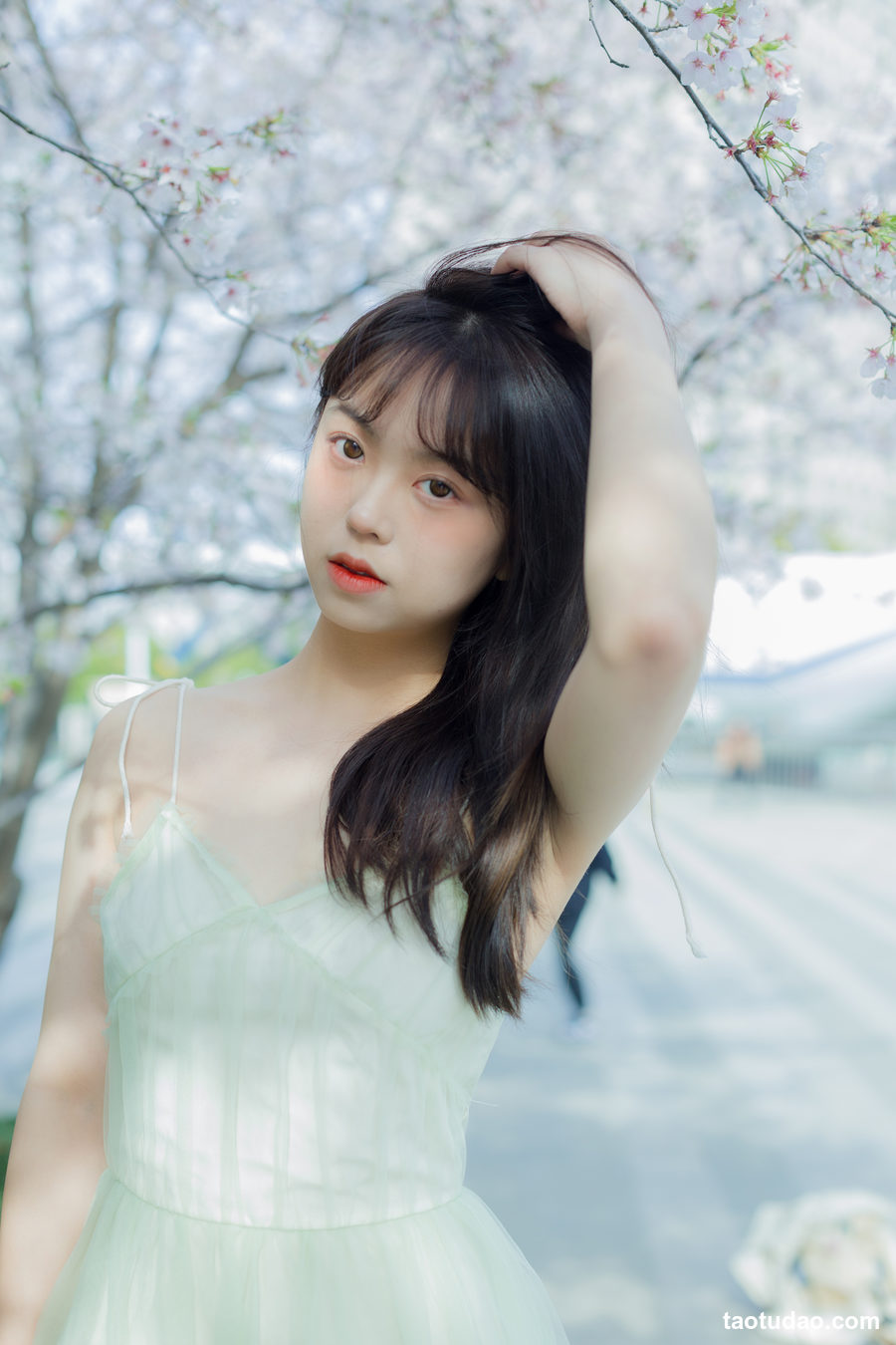 图片[2]-[YITUYU艺图语]2023.04.20 秒速五厘米 哈吉麻花 [32+1P／287MB]-艺库
