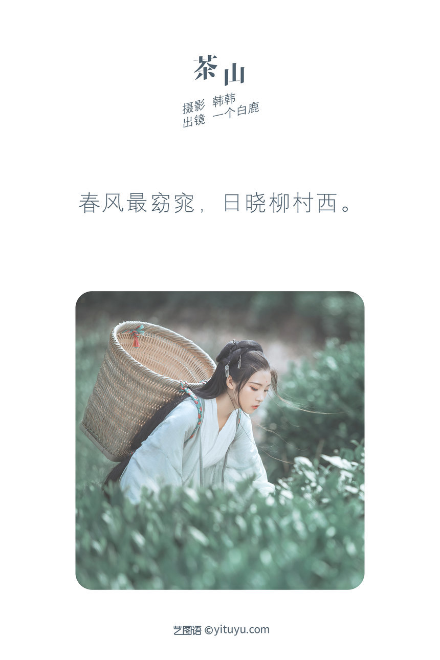 图片[4]-[YITUYU艺图语]2022.05.26 茶山 一个白鹿[31+1P／594MB]-艺库