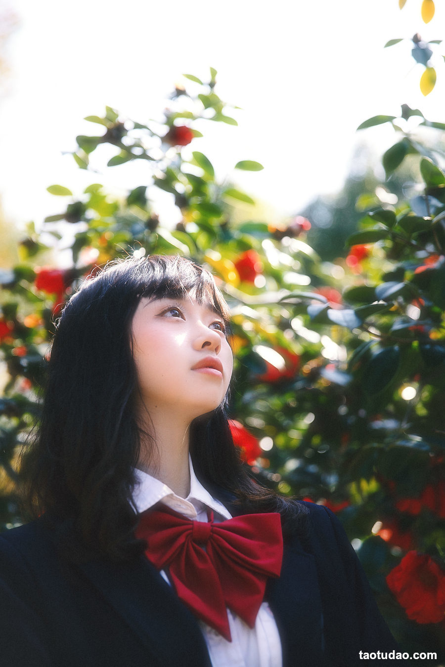 图片[3]-[YITUYU艺图语]2023.03.23 山茶花又开 natasha[26+1P／478MB]-艺库