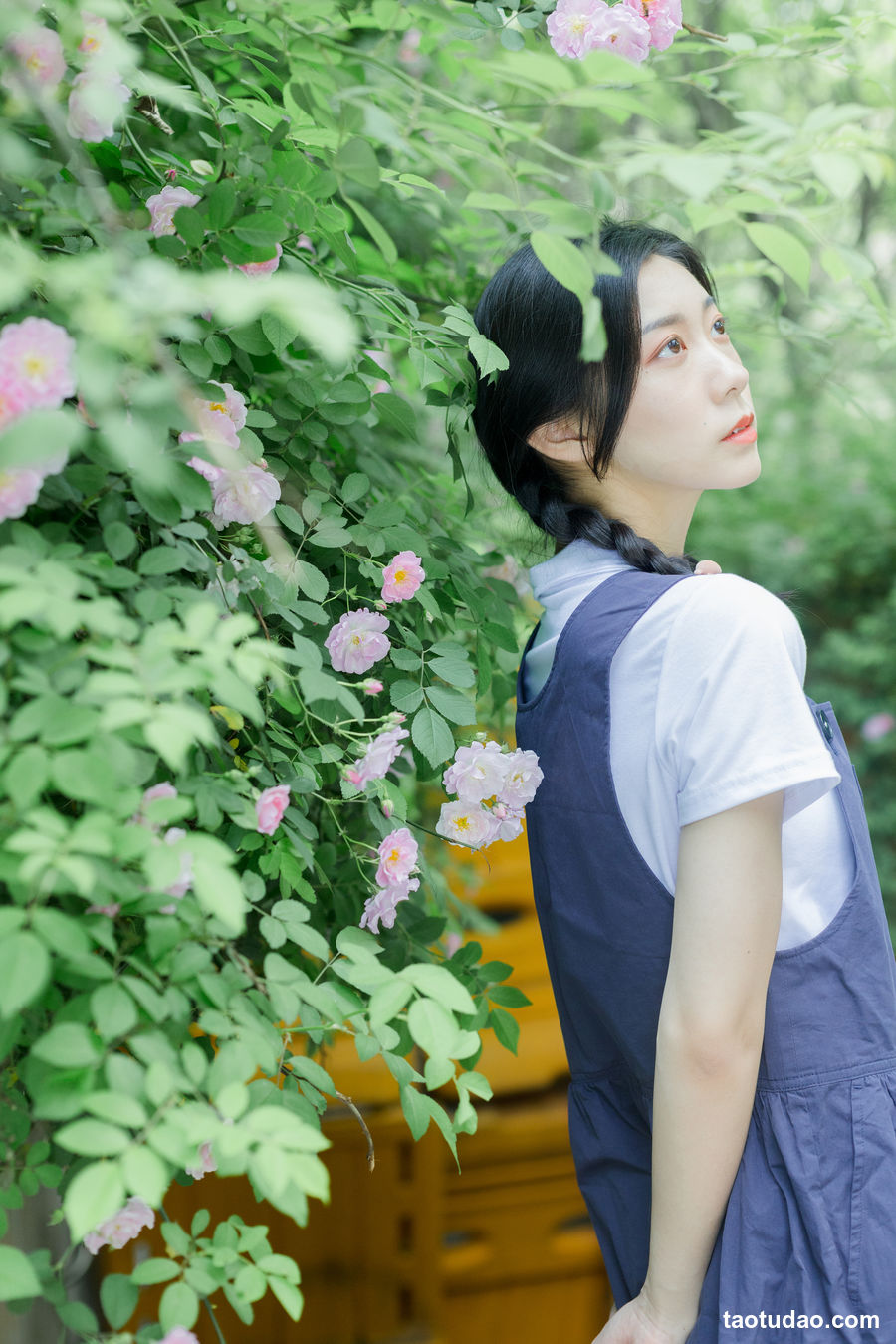 图片[3]-[YITUYU艺图语]2023.02.11 除了春天和蔷薇 饲猫少女-[25+1P／334MB]-艺库