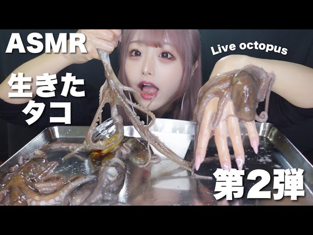 [神乐]期待已久的吃活章鱼の咀嚼音-神乐日菜子 / 日本ASMR-艺库