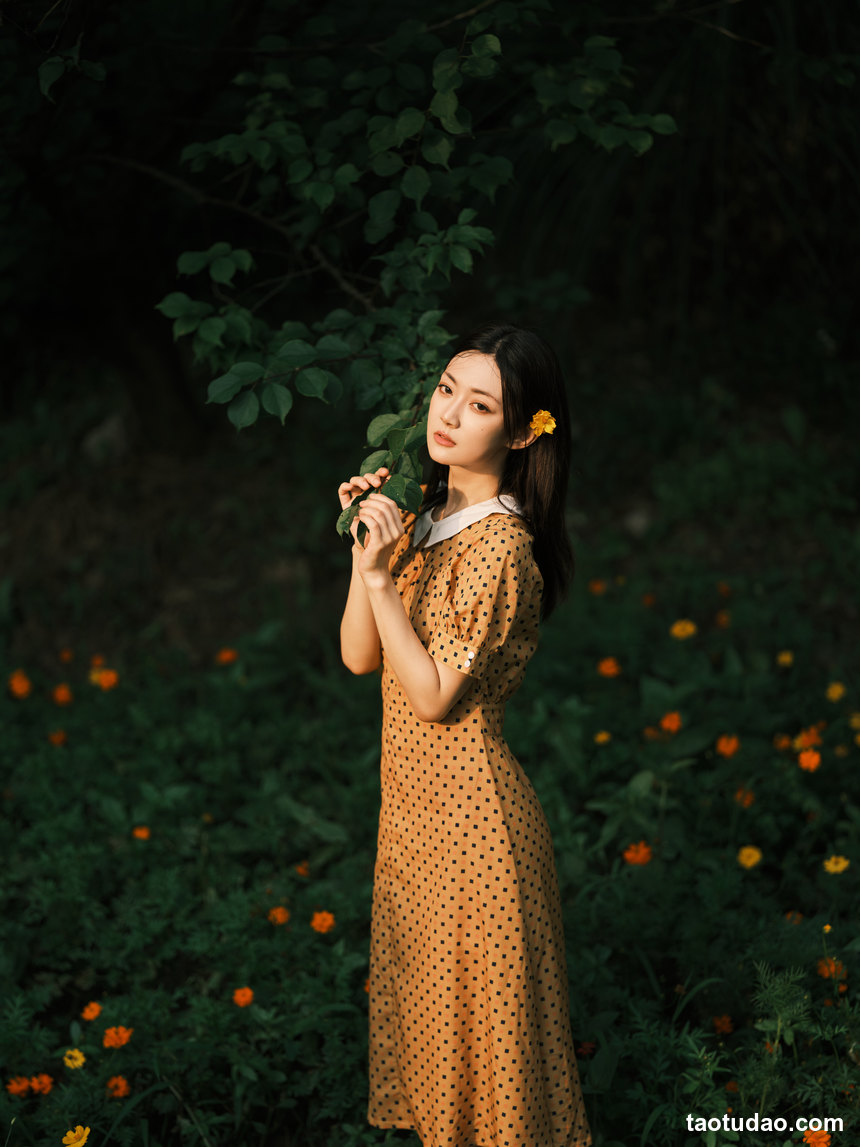 图片[2]-[YITUYU艺图语]2022.08.08 硫华菊&柳叶马鞭草-是夏天的味道呀！ 飞鸟咕咕-[43+1P／1.08GB]-艺库