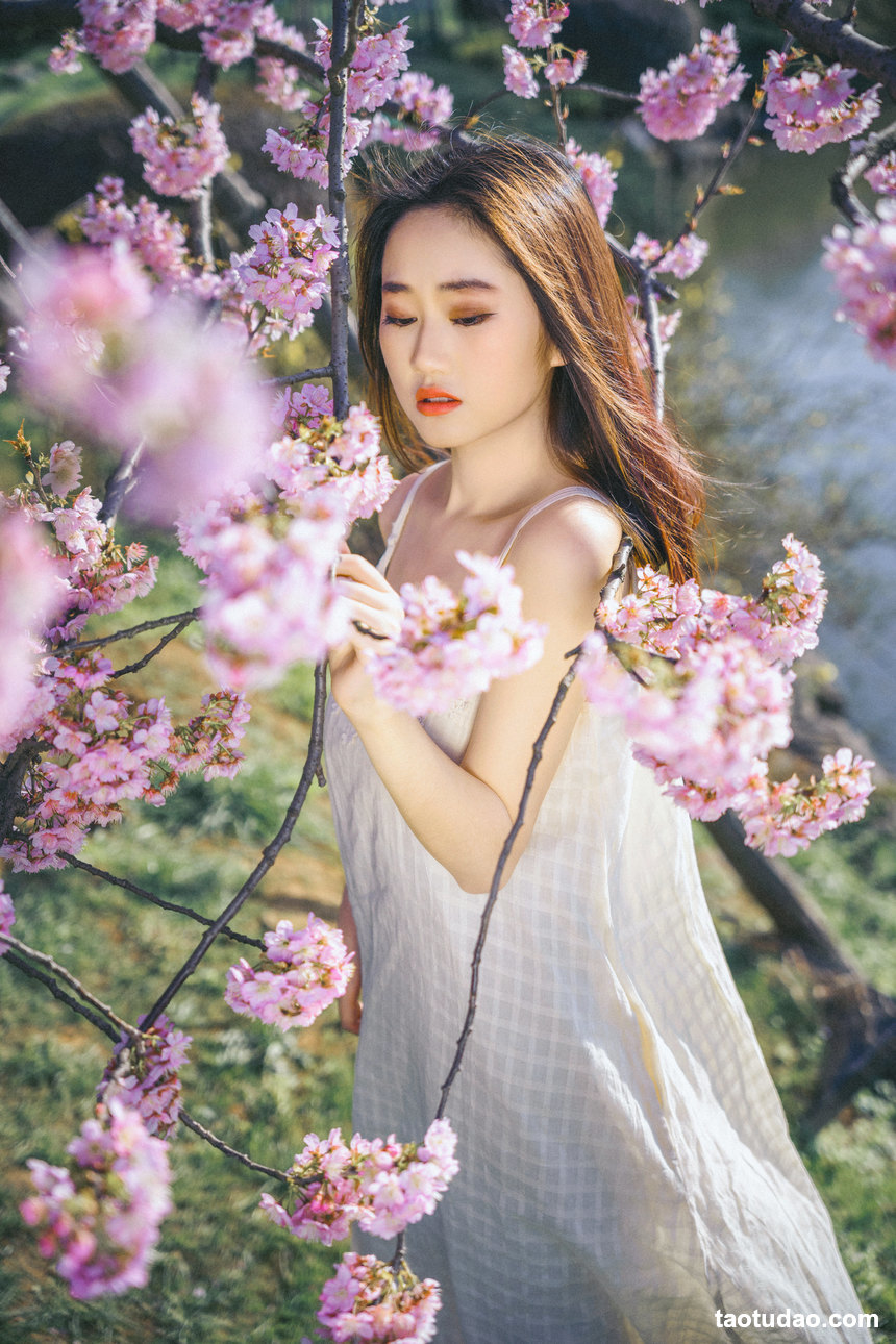 图片[4]-[YITUYU艺图语]2022.04.20 樱花物语 乐乐[21+1P／360MB]-艺库