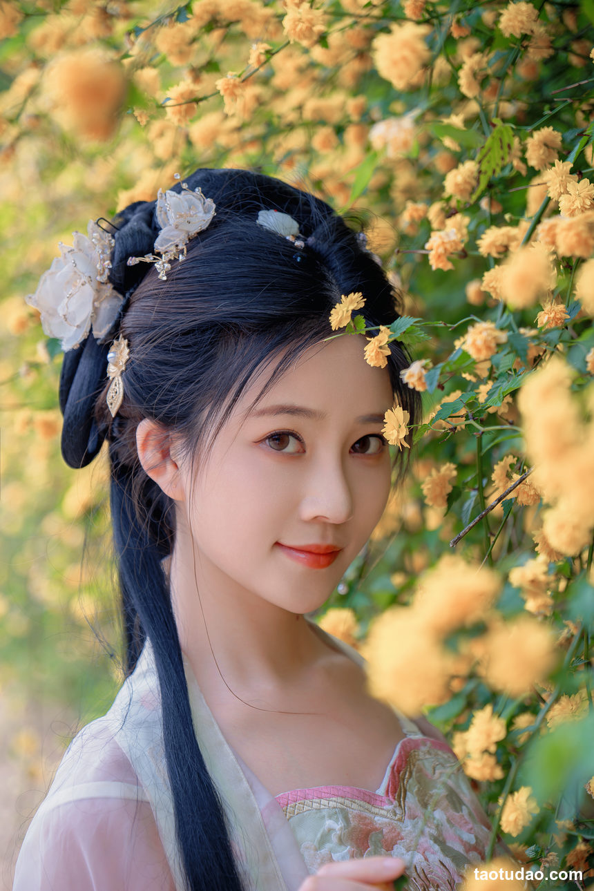 图片[2]-年年nnian –  海棠仙[84P-342.4M]-艺库