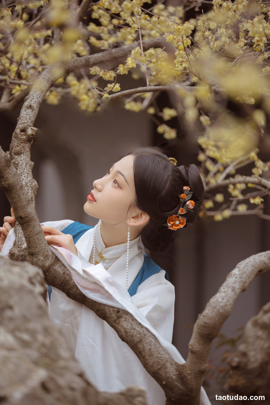 图片[4]-[YITUYU艺图语]2022.04.02 春事到桐花 二一芝[34+1P／208MB]-艺库