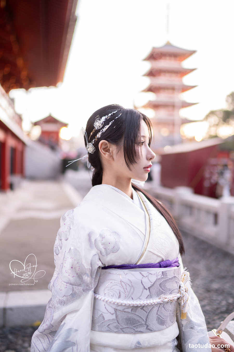 图片[2]-雨波 2024年1月 銀鈿和服 Silver Kimono [46P-250MB]-艺库