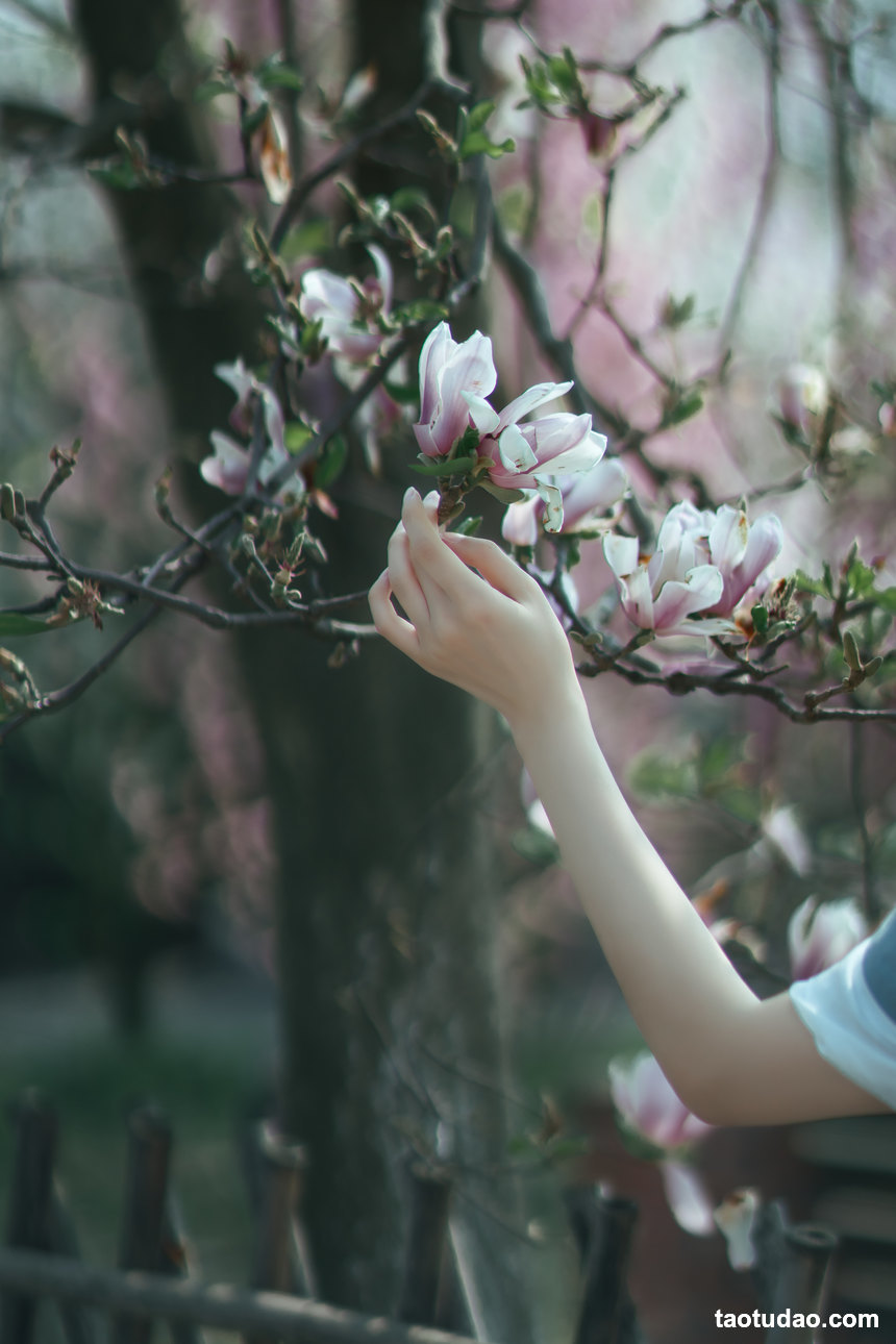 图片[2]-[YITUYU艺图语]2022.05.07 春花落 初茶[34+1P／470MB]-艺库