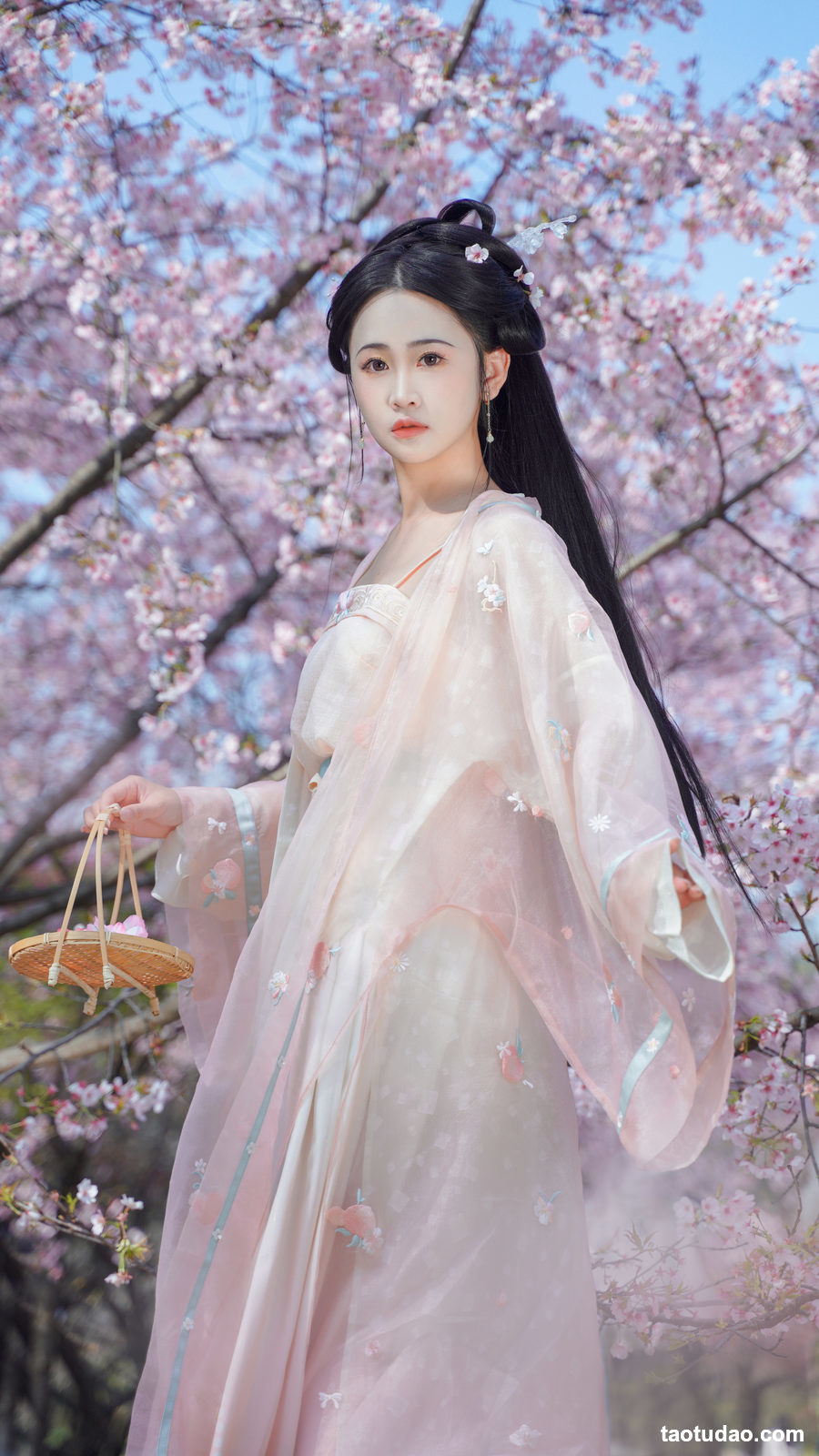 图片[3]-[YITUYU艺图语]2023.03.18 樱之花 湫一只岁岁[22+1P／268MB]-艺库