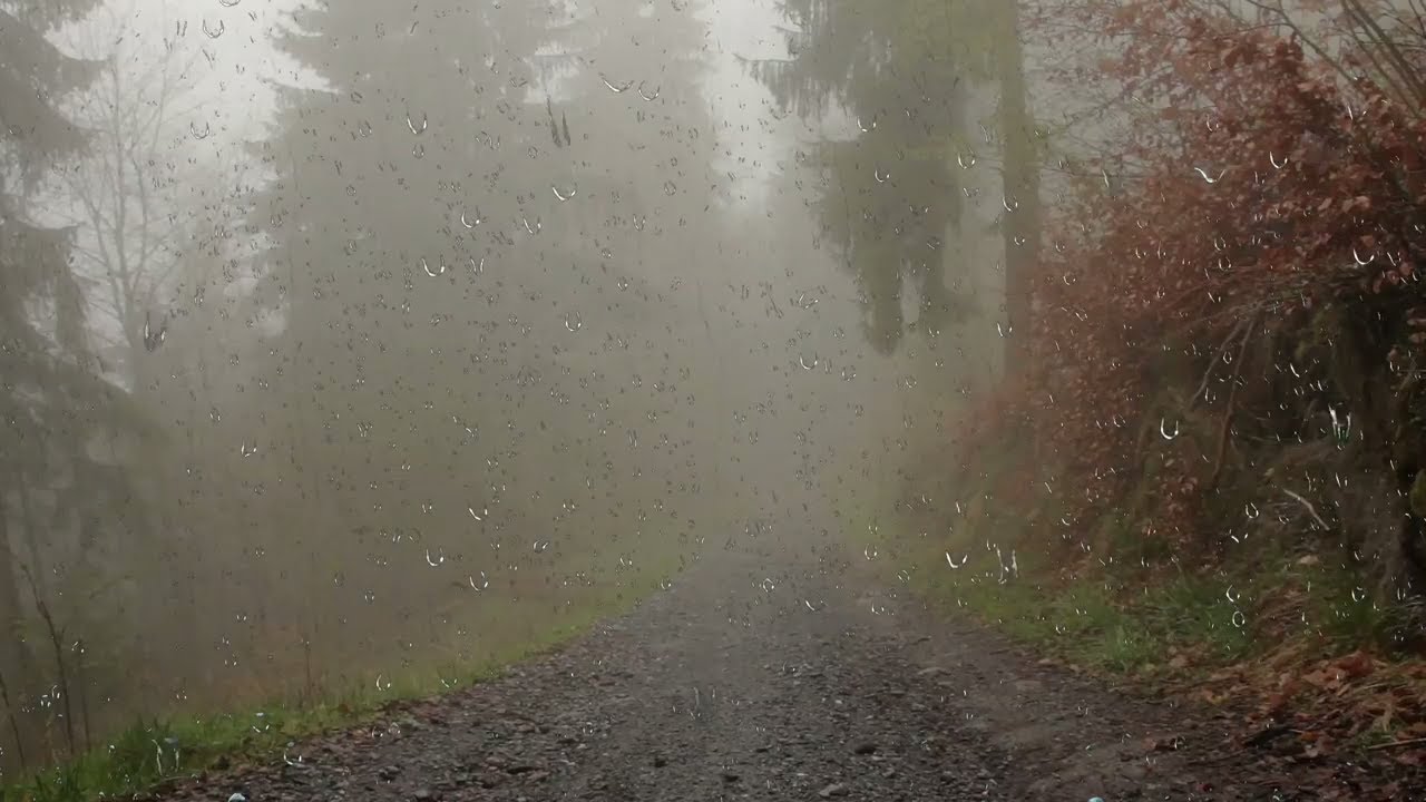 [白噪音]伴随着雷声和雨声入睡，对有失眠症和睡眠障碍的人有放松作用-白噪音频道 / 其他ASMR-艺库