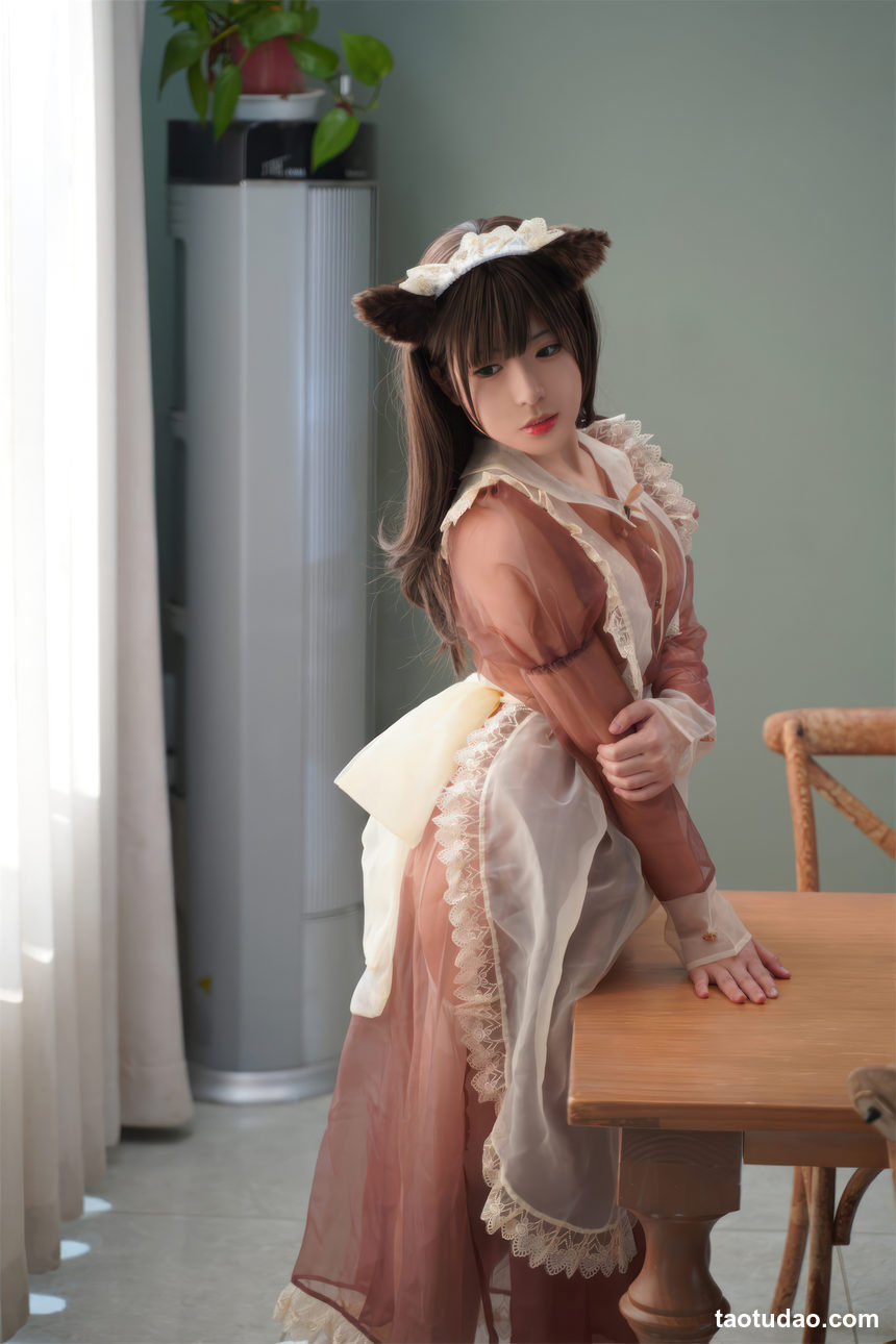 图片[4]-虎森森-棕色透明女仆[35P-229MB]-艺库