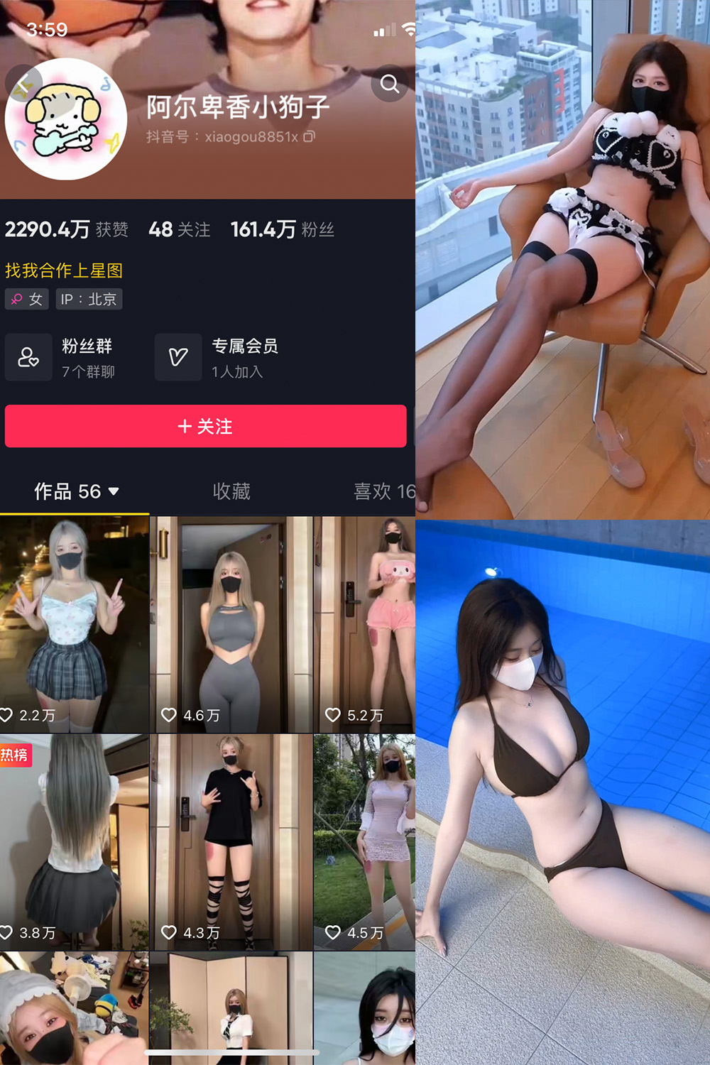抖音 阿尔卑香小狗子 微密圈  NO.062期 【8V】最新至：2025.5.22-艺库