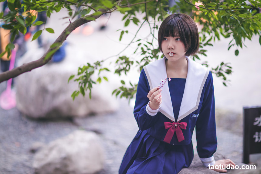 图片[4]-[YITUYU艺图语]2022.04.15 樱花树下 灰猫[19+1P／444MB]-艺库
