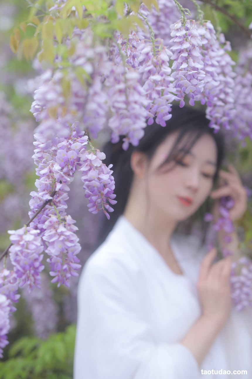 图片[2]-[YITUYU艺图语]2022.04.24 紫藤 文鱼[24+1P／403MB]-艺库