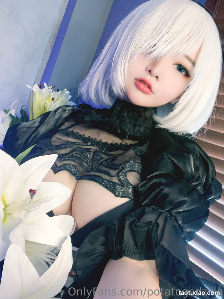 图片[3]-Potato Godzilla –  2B Bride [30P-63MB]-艺库