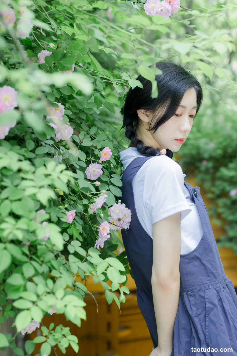 图片[2]-[YITUYU艺图语]2023.02.11 除了春天和蔷薇 饲猫少女-[25+1P／334MB]-艺库