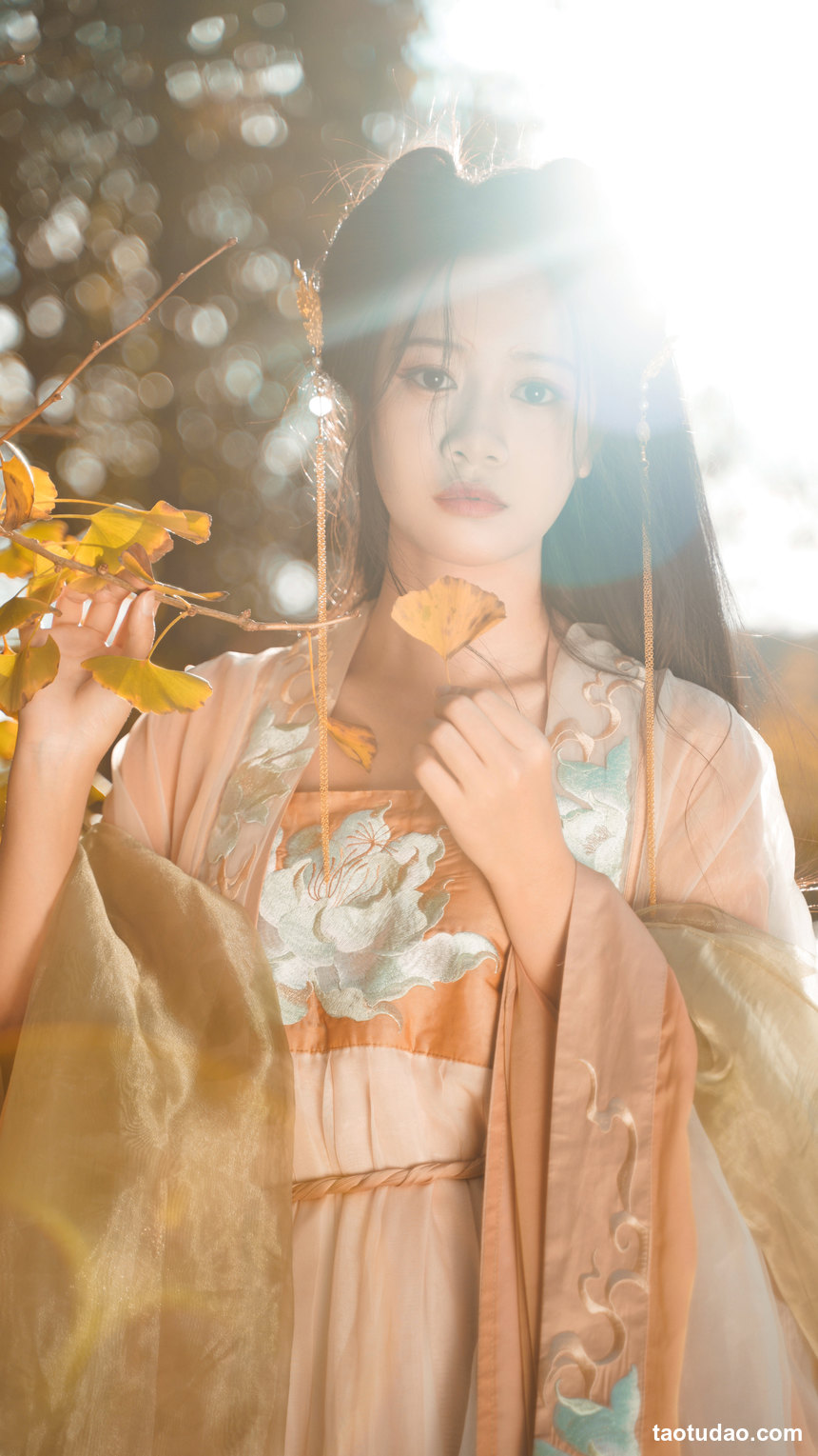 图片[2]-[YITUYU艺图语]2022.12.12 银杏树下 旺旺小小舒[38+1P／467MB]-艺库