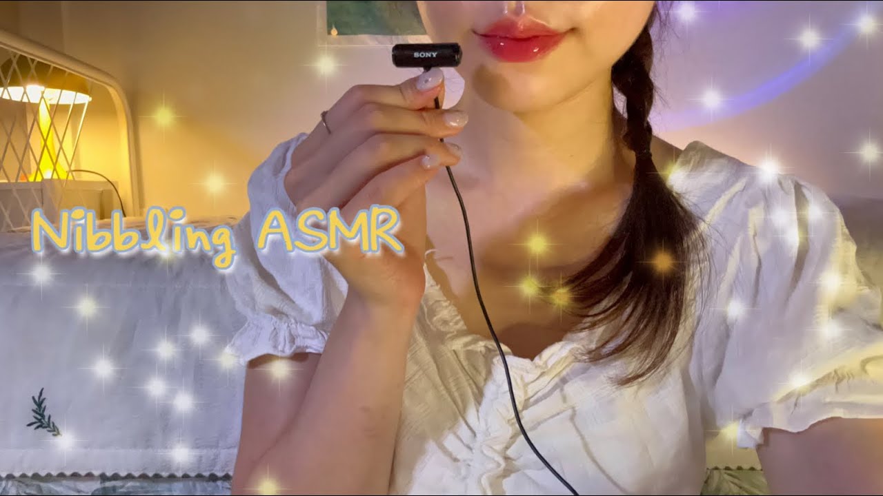 [쉼 SHIM]温柔口腔音疗愈，带你进入甜美梦乡-迷路的番茄 / 国内ASMR-绅士图