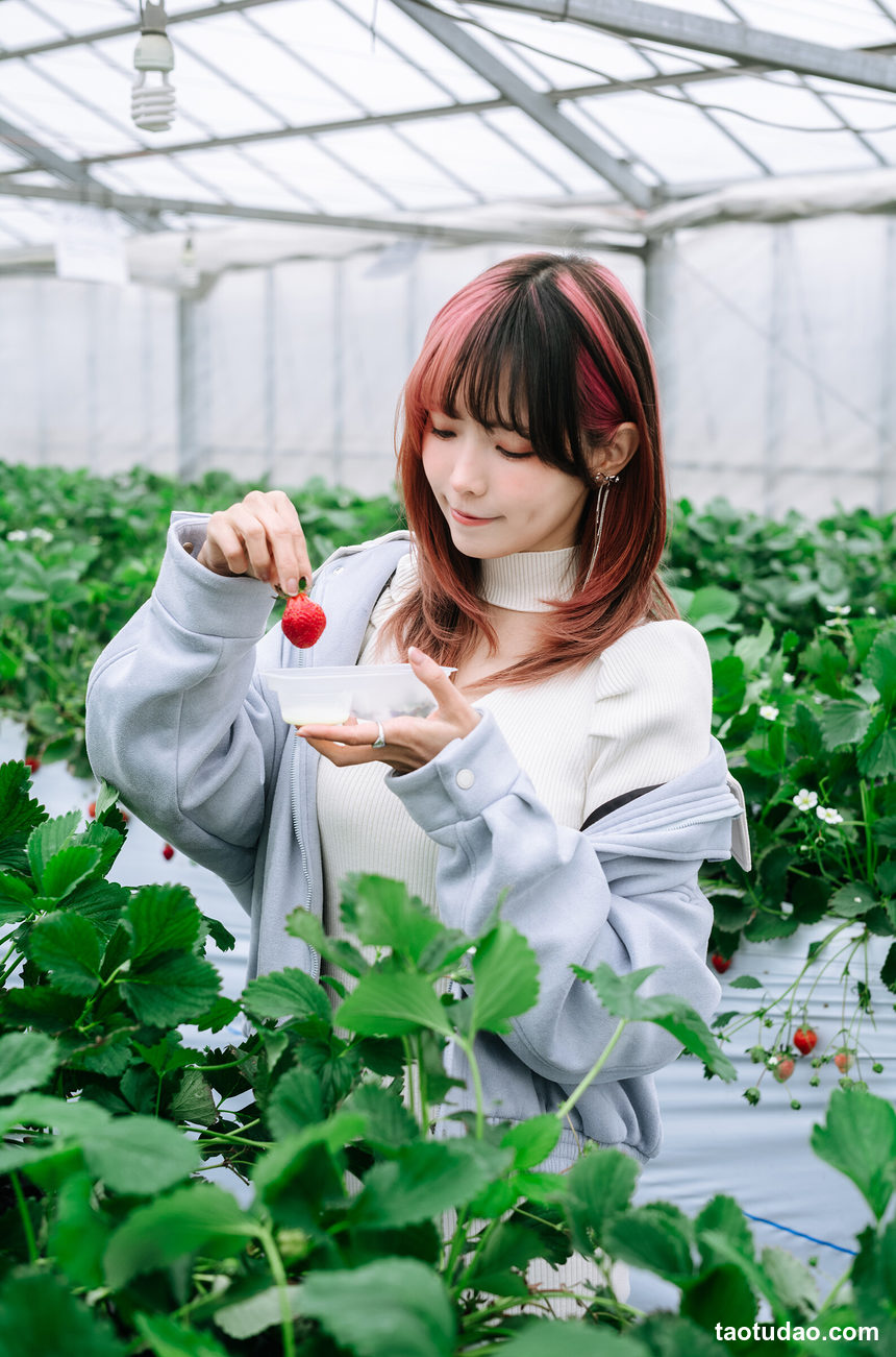 图片[2]-ElyEE子 – Strawberry Picking Date [34P+2V-128MB]-艺库