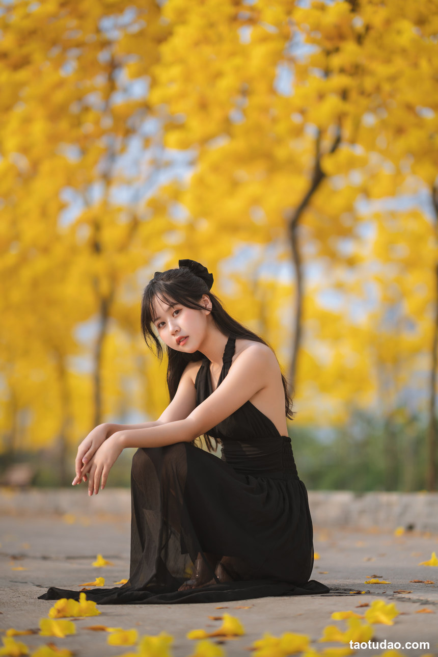 图片[4]-萌芽儿 – NO.25 秋有银杏 春有黄风铃 [24P-336MB]-艺库