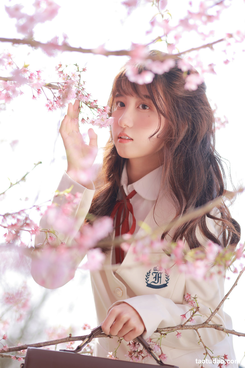 图片[3]-[YITUYU艺图语]2022.09.21 樱花 lovelatte11[21+1P／230MB]-艺库