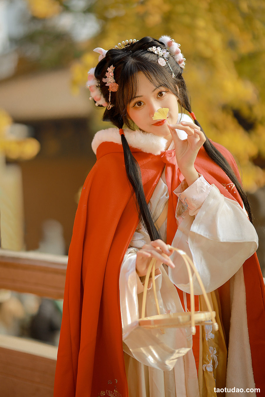 图片[2]-[YITUYU艺图语]2023.02.13 银杏汉服 是蝶绪咩[21+1P／146MB]-艺库
