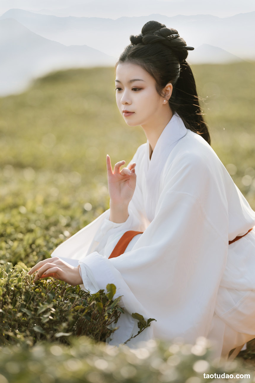 图片[2]-[YITUYU艺图语]2022.03.08 采茶 藏茗[30+1P／266MB]-艺库