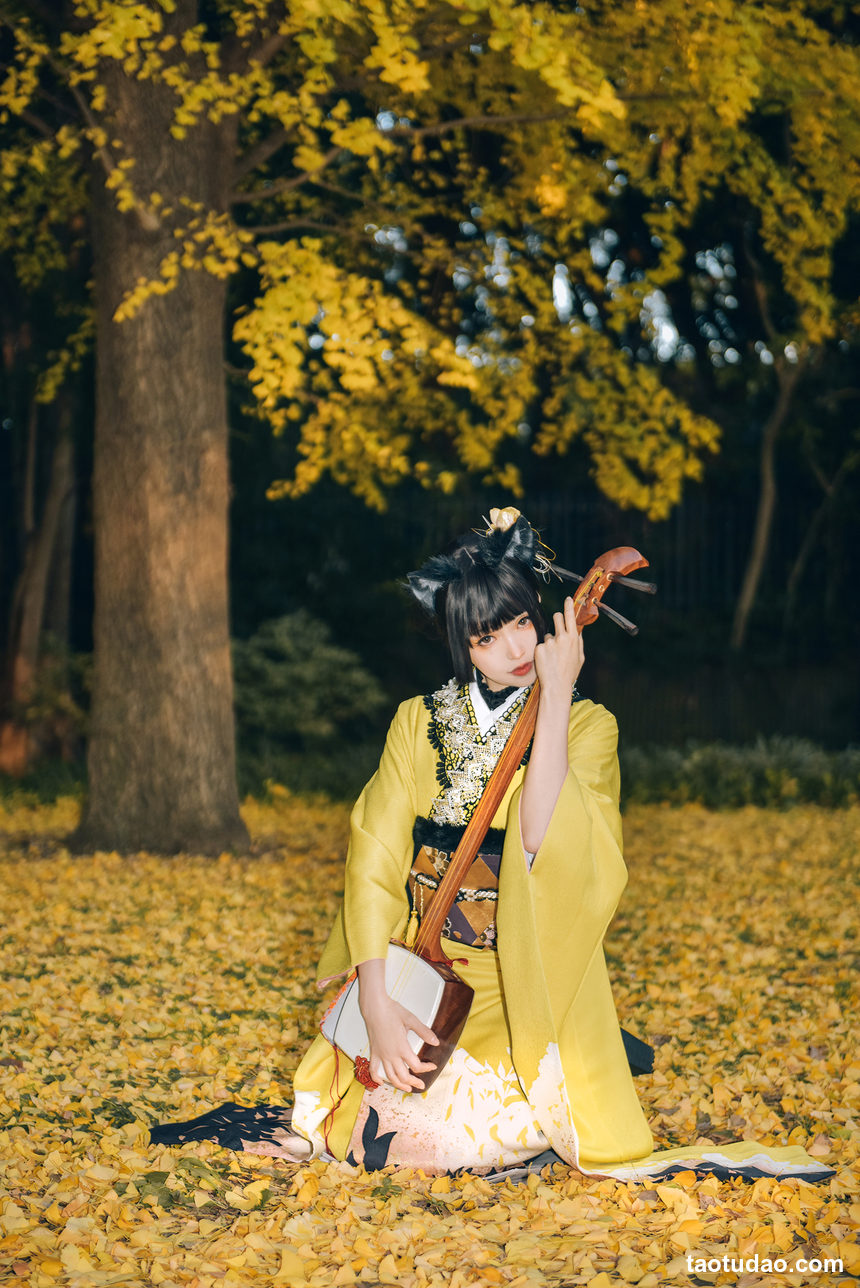 图片[2]-ElyEE子 –  2024年11月订阅 Ginkgo Black Cat銀杏黑貓 [24P+1V-108MB]-艺库