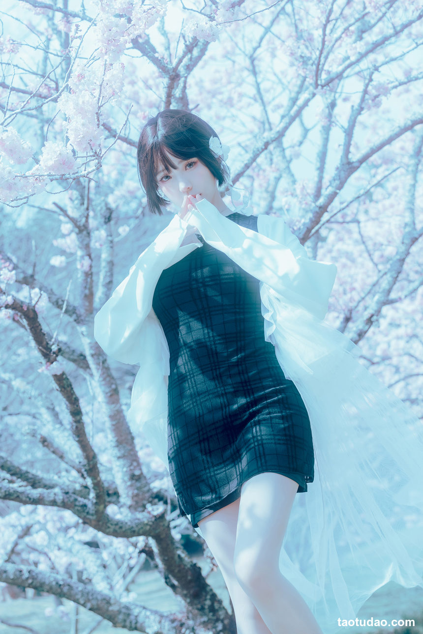 图片[3]-[Elyee]2024 3-5 月 Tier3 合集[247P-899M]-艺库