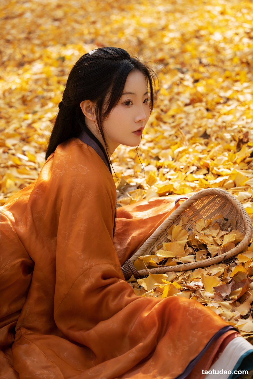 图片[2]-[YITUYU艺图语]2022.12.17 金秋 人间小白龙[24+1P／373MB]-艺库