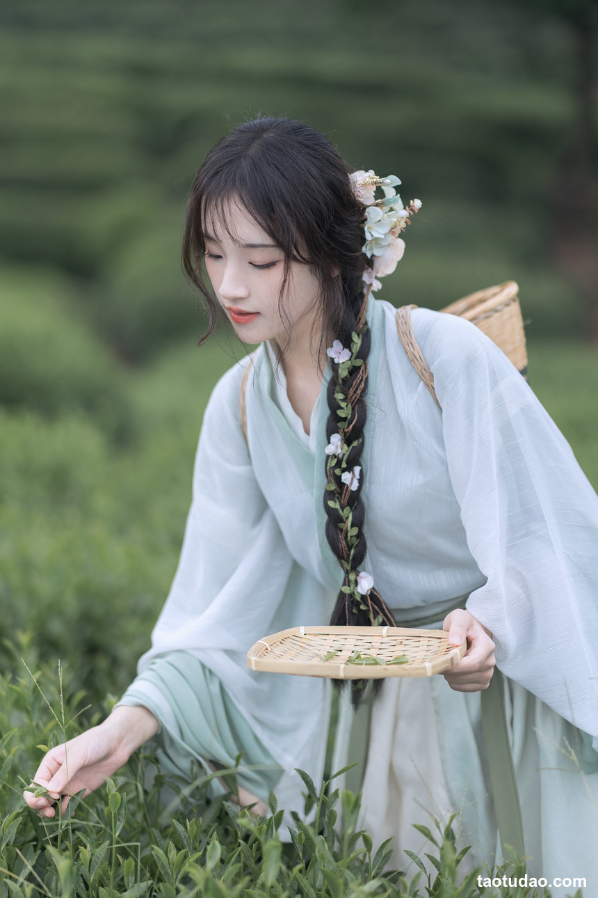 图片[3]-[YITUYU艺图语]2022.11.10 采茶纪 方莛玉[53+1P／473MB]-艺库