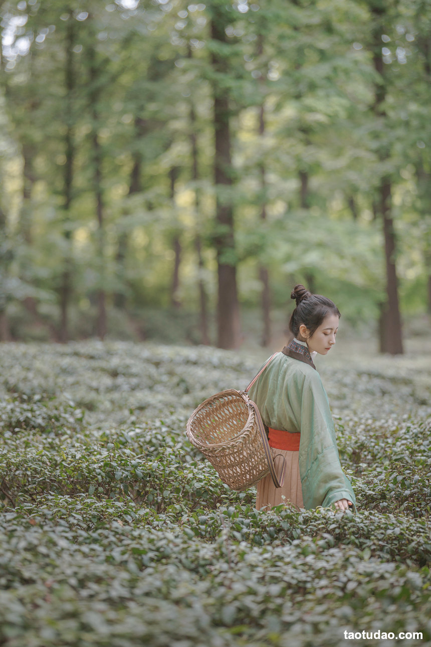 图片[4]-[YITUYU艺图语]2022.03.30 赠隐者 五月的三花猫[22+1P／104MB]-艺库