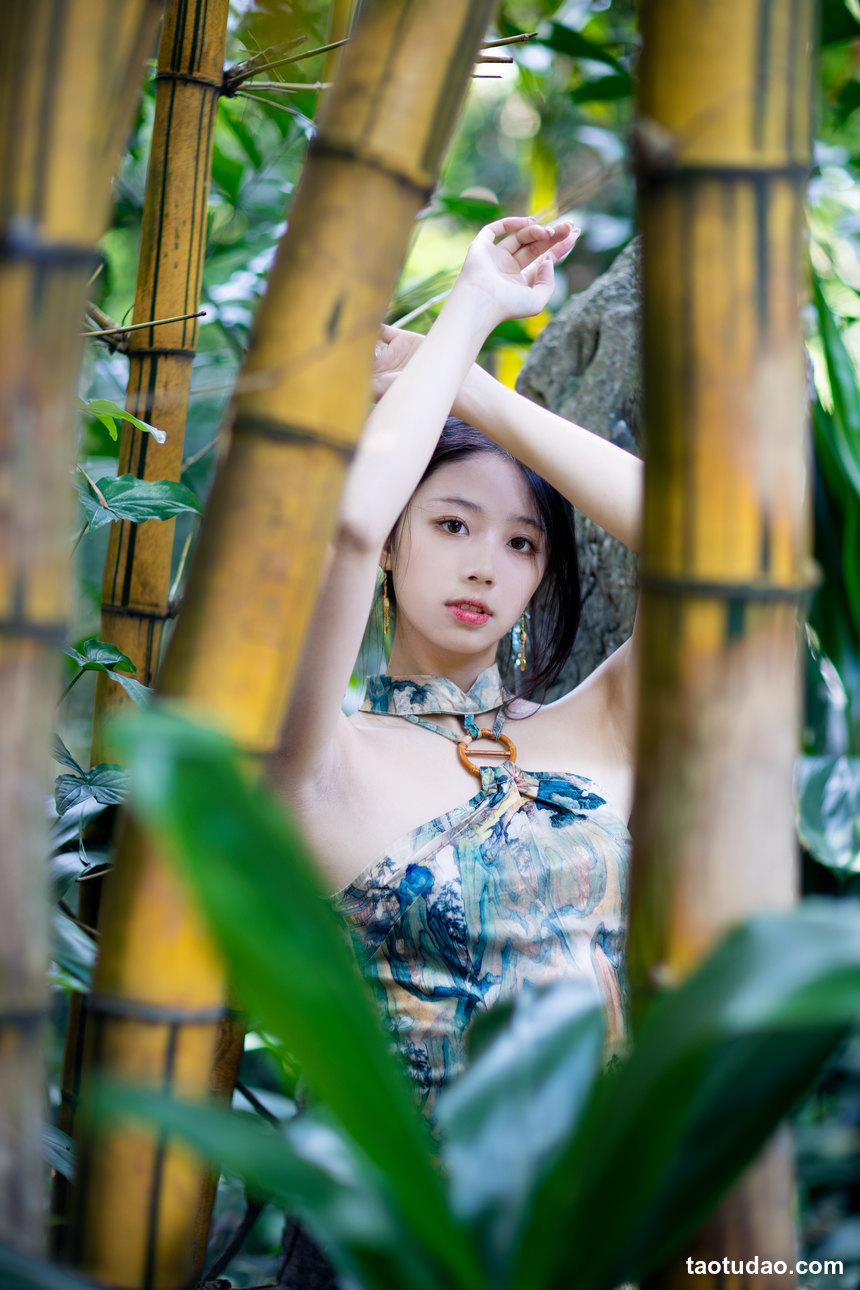 图片[2]-[YITUYU艺图语]2022.08.02 只此青绿 菠萝包[41+1P／488MB]-艺库