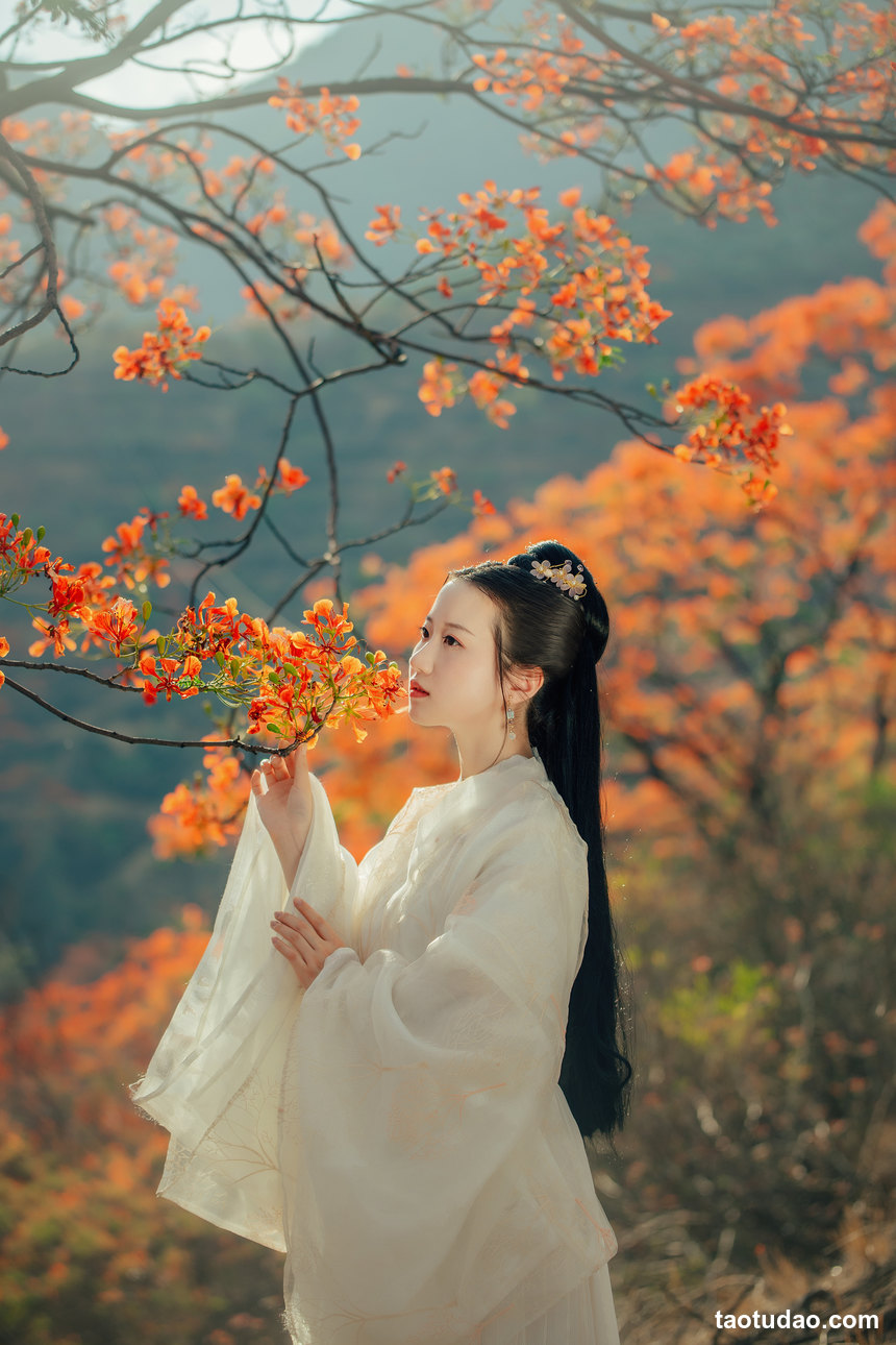 图片[2]-[YITUYU艺图语]2022.05.28 凤凰花开 粥米饭[25+1P／415MB]-艺库